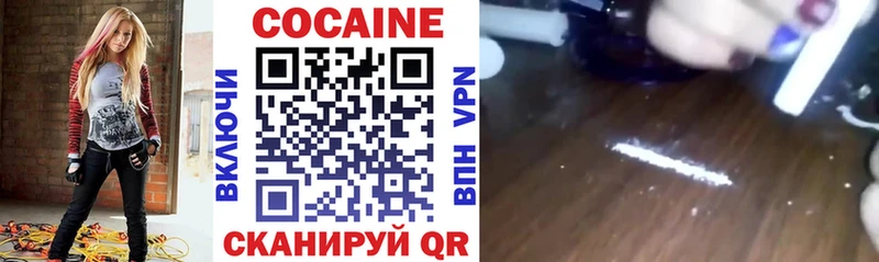 купить  цена  Югорск  COCAIN Fish Scale 