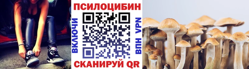 Псилоцибиновые грибы прущие грибы  сайты даркнета телеграм  Югорск 
